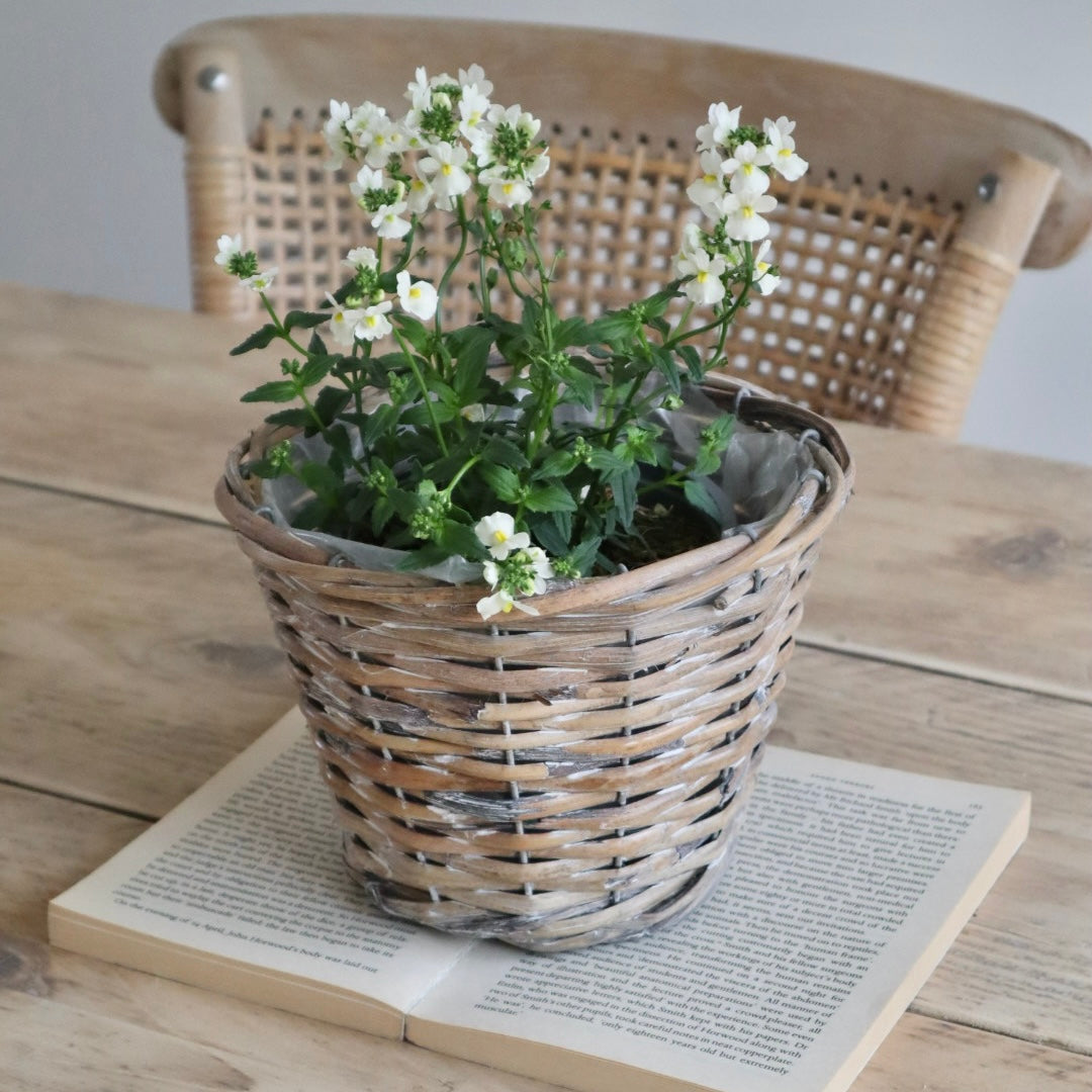 Natural Woven Basket Pots (3 sizes)