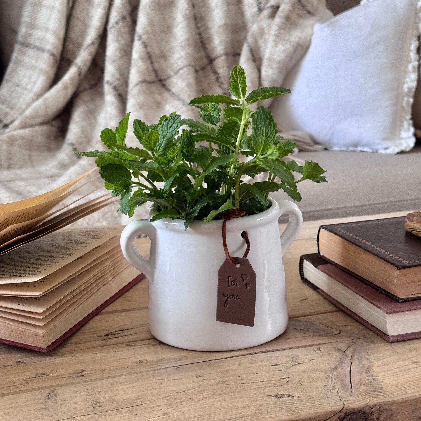 White Ceramic Pot with Handles