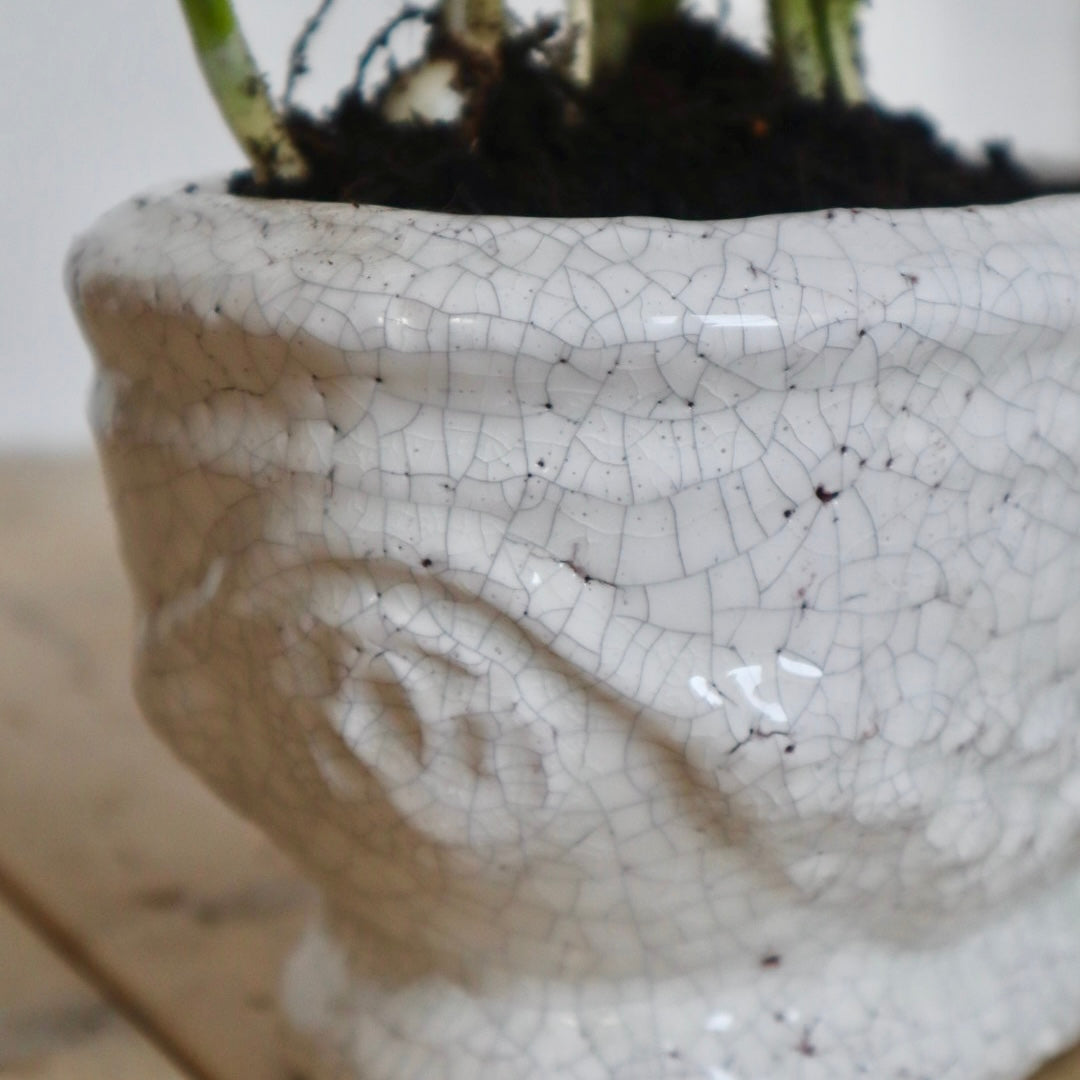 Ivory Shabby Chic Spring Bulb Planter