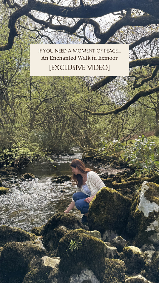 [Exclusive Video] A Peaceful Day in the Woods
