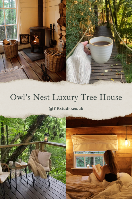 Dreamy Owl's Nest Luxury Cabin in Wales