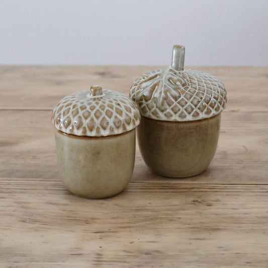 Ceramic Acorn Pot in Stylish Neutral Tones