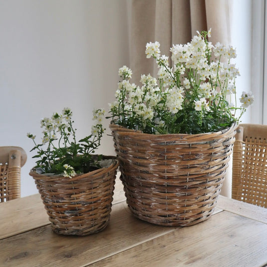 Natural Woven Basket Pots (3 sizes)