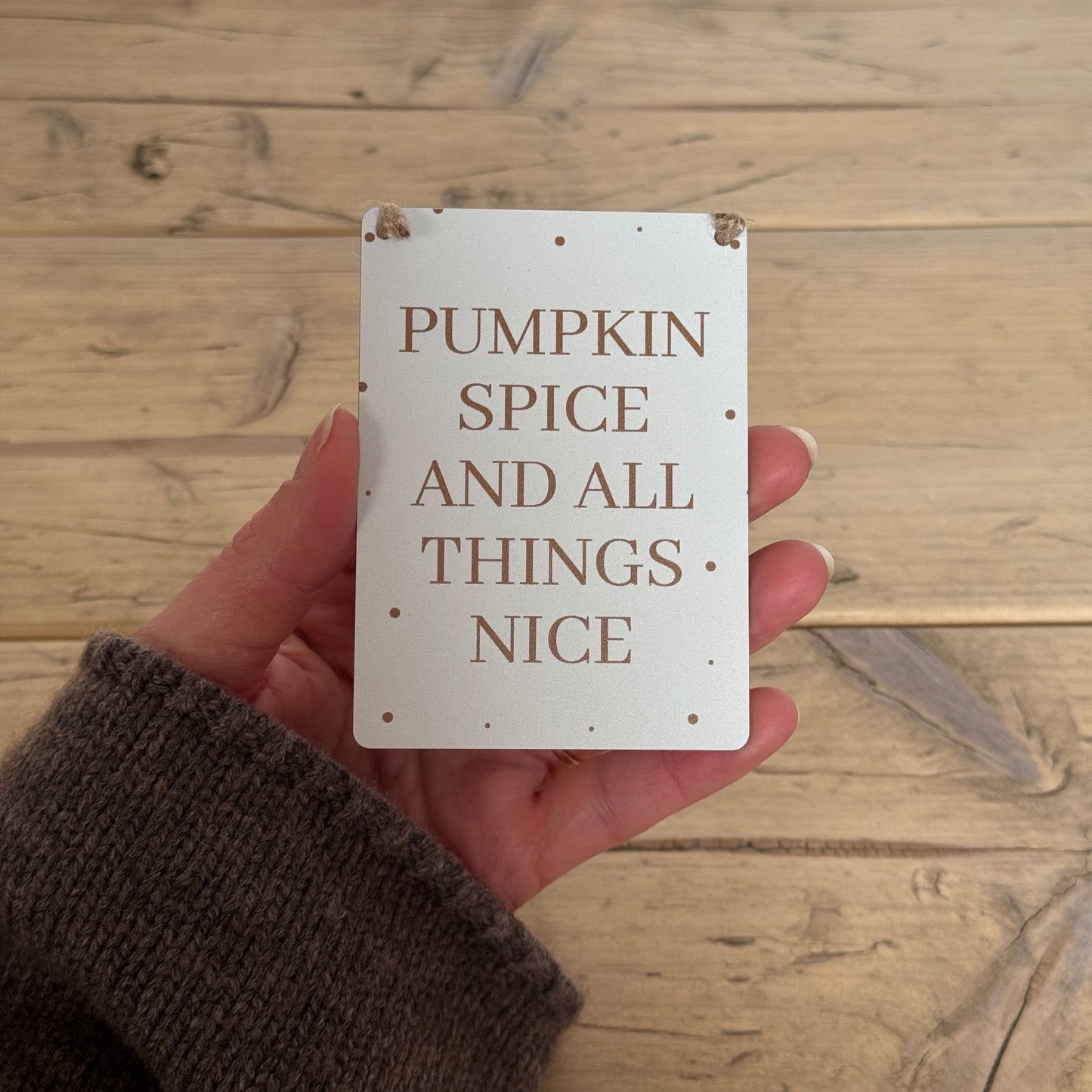 Pumpkin Spice Mini Metal Sign
